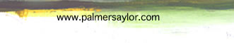 www.palmersaylor.com